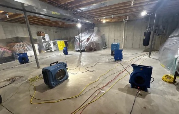 Basement Mold Cleanup in Land O’ Lakes, FL