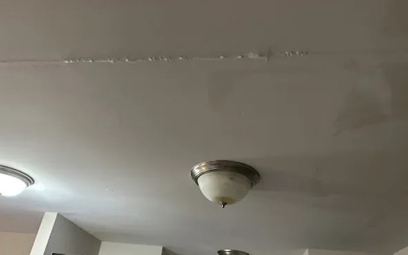 Ceiling Mold Removal in Land O’ Lakes, FL