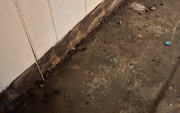 Biohazard Cleanup Services in Land O’ Lakes, FL