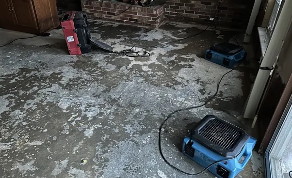 Storm Damage Restoration in Land O’ Lakes, FL