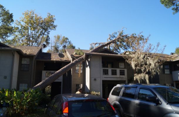 Storm Damage Restoration Lakeland, Florida